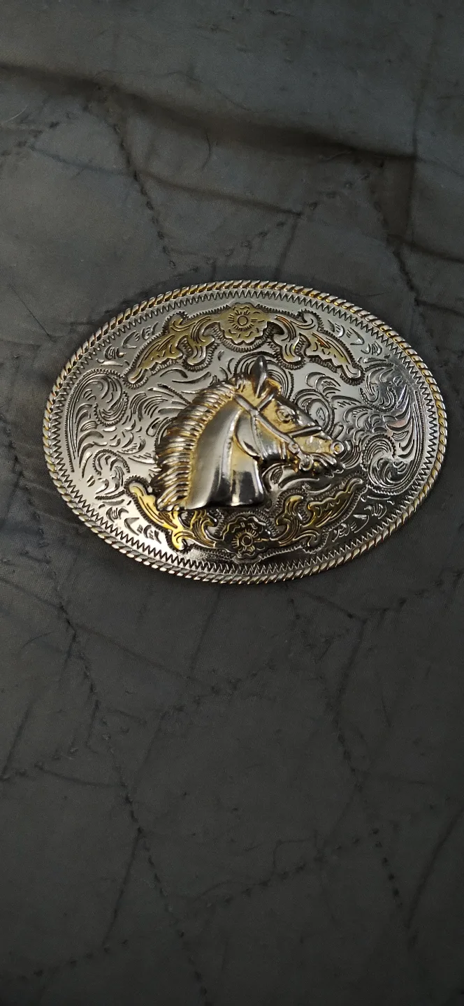 Belt buckles image indicator(8)