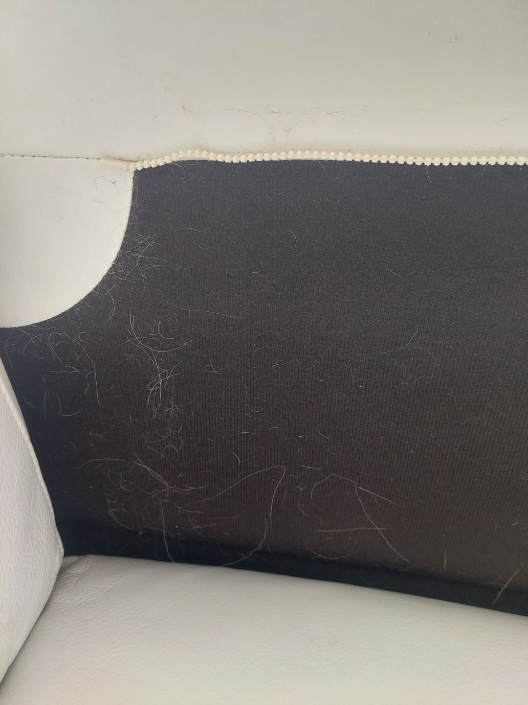 FREE White 3-seater Sofa - photo 4