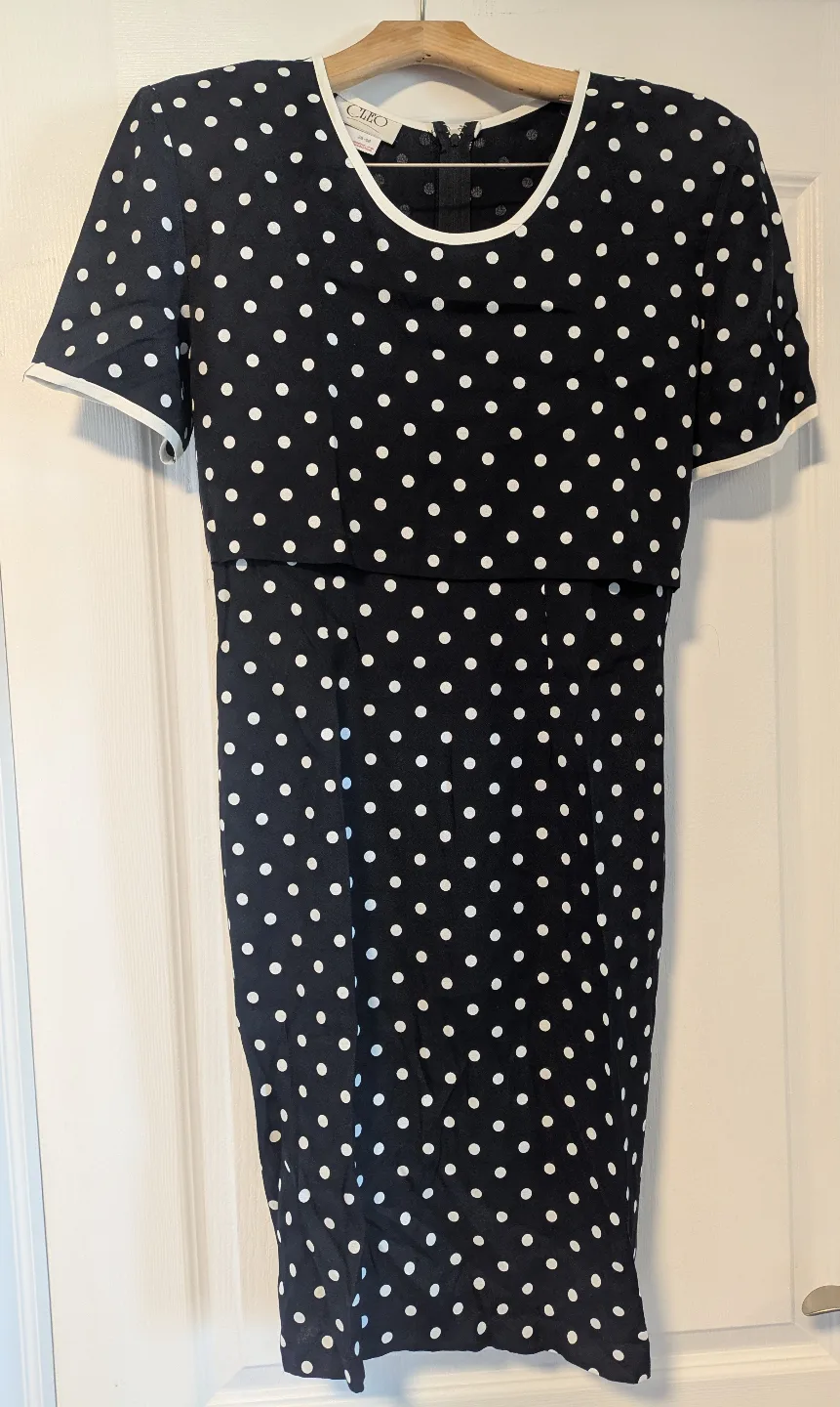 Vintage Polka Dot Dress thumbnail