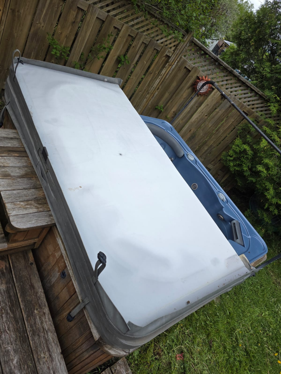 Used Hot Tub - photo 4