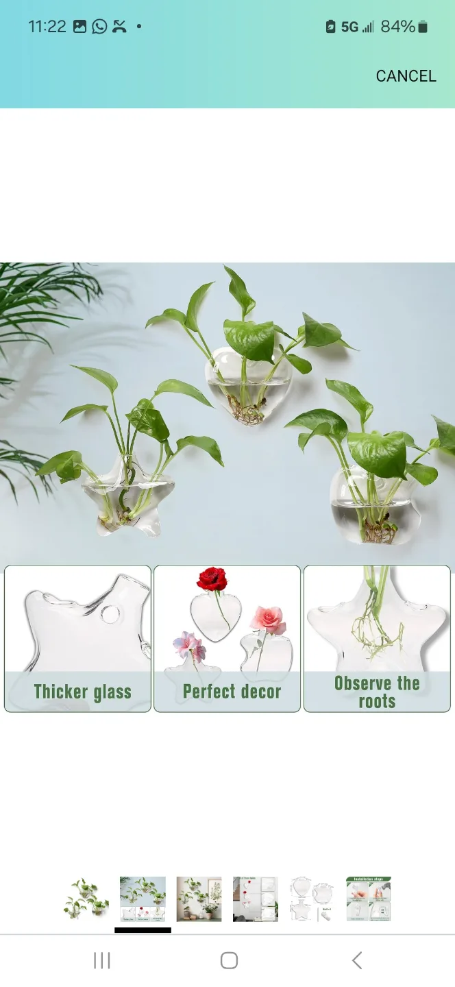 Set of 3 Glass Wall Planters - Heart, Star, and Teardrop Shapes image indicator(2)