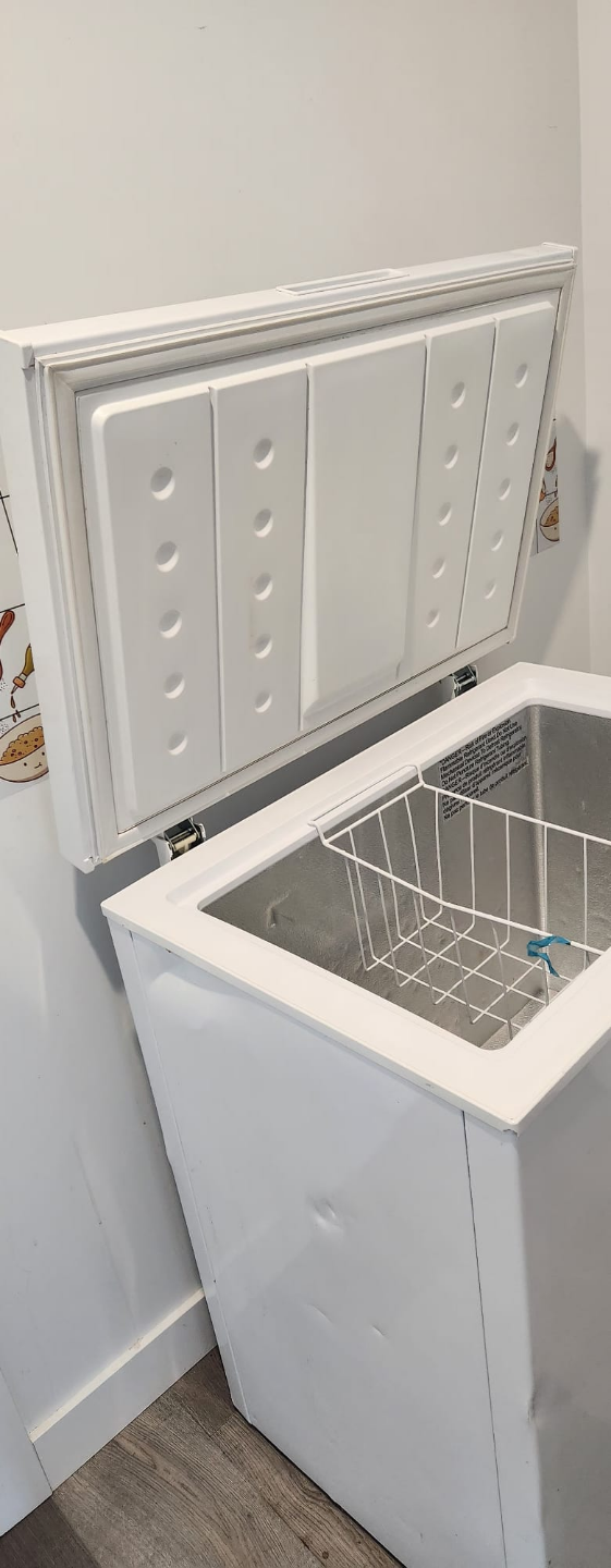 White Chest Freezer - photo 4