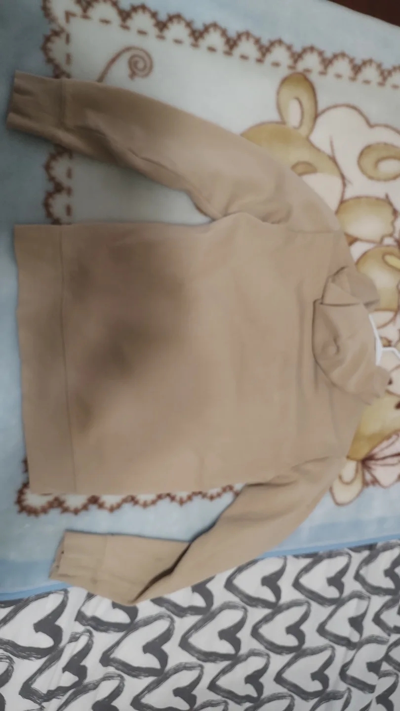 Light Brown Champion Hoodie thumbnail