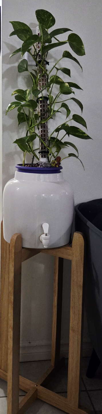 Water dispenser with Stand/ Wooden Plant Stand - photo 2