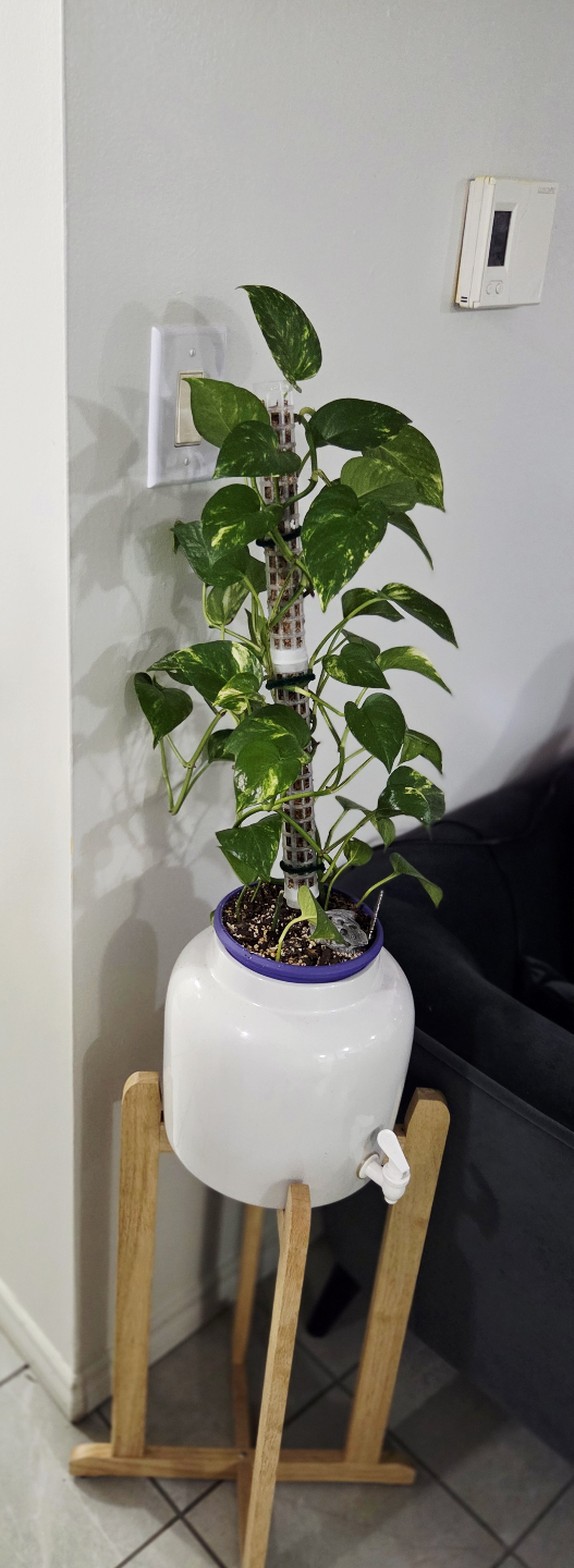 Water dispenser with Stand/ Wooden Plant Stand - photo 5