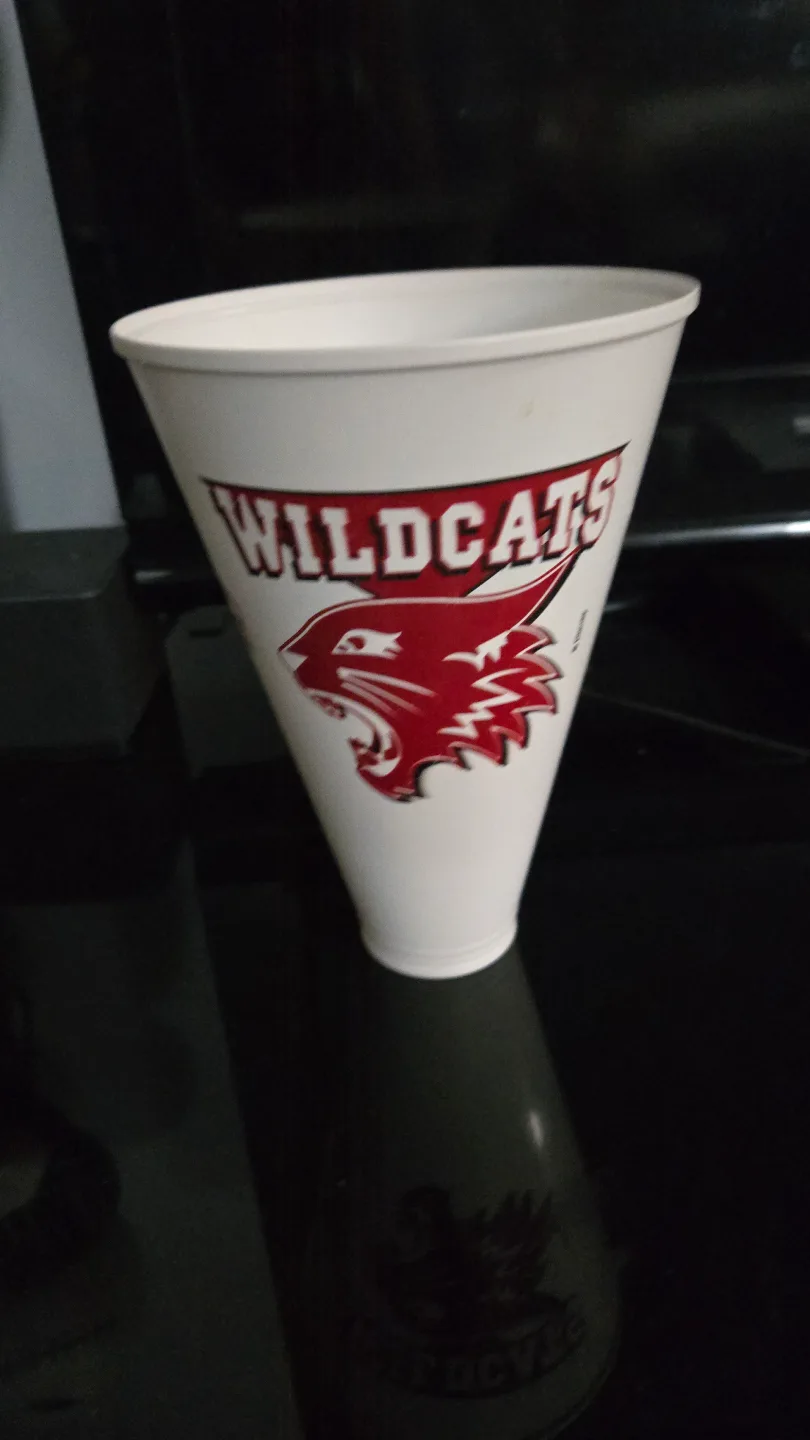 High School Musical and Wildcats Cheer Cups thumbnail