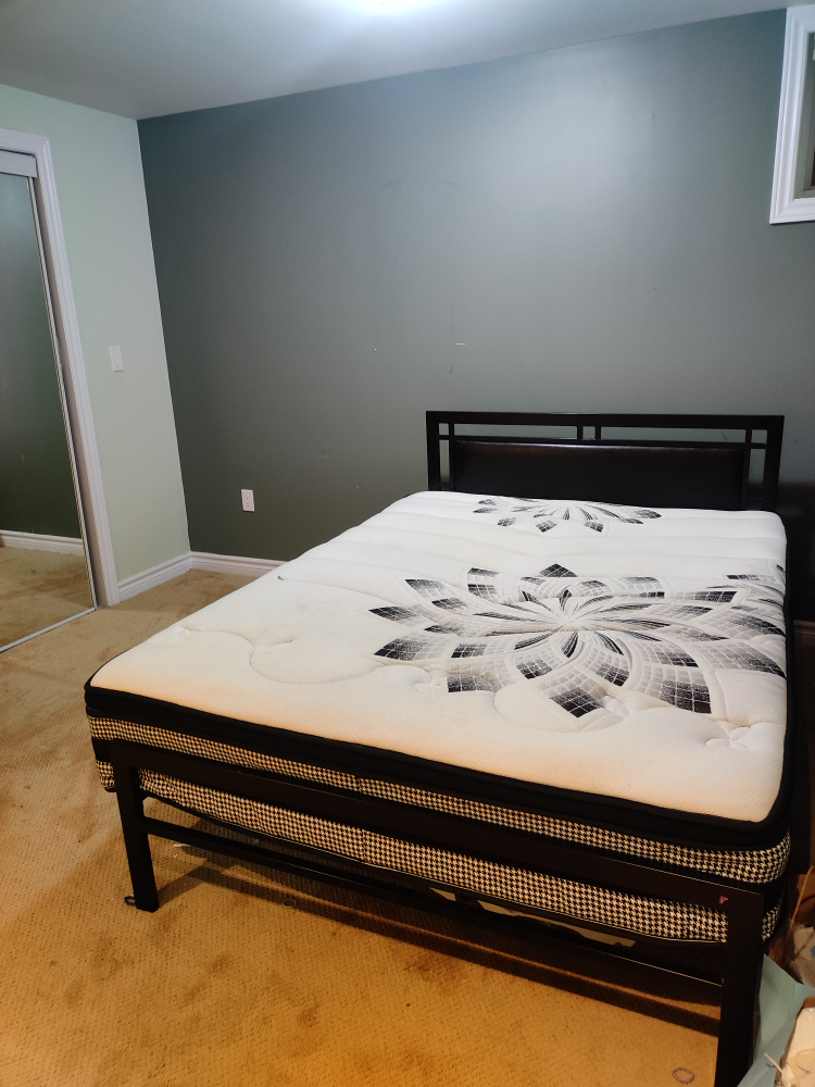Queen Mattress and Metal Frame - photo 4