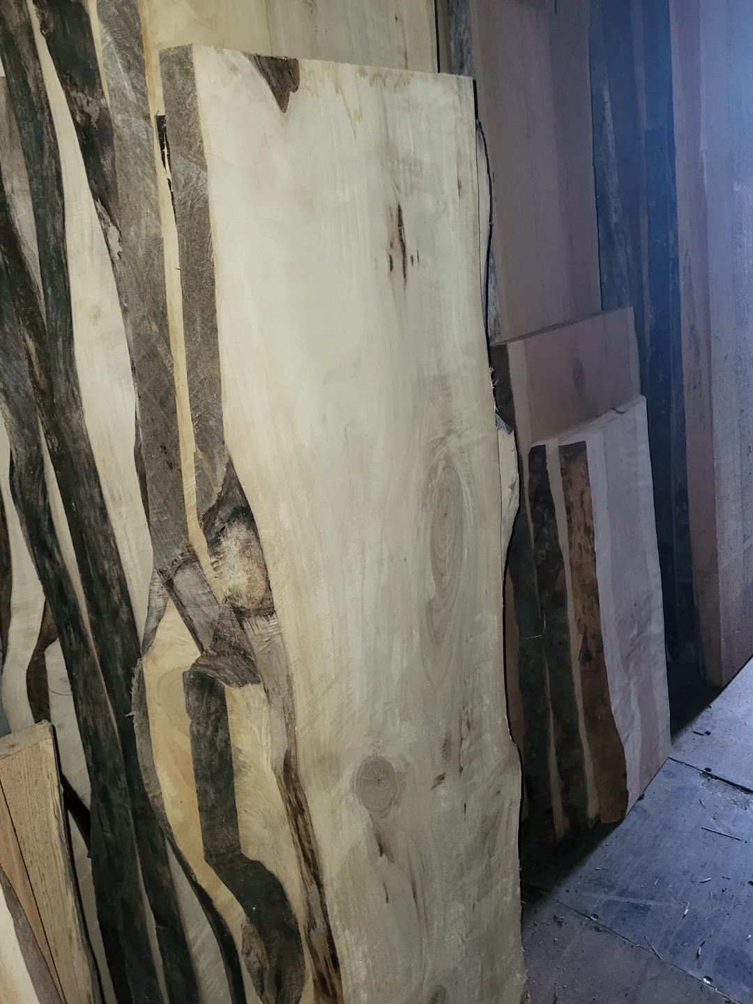 Live Edge Wood Slabs - Variety of Sizes and Species image indicator(5)