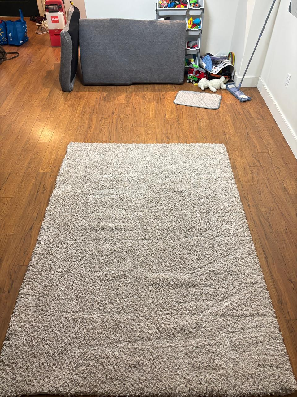 Beige Shag Rug - photo 2