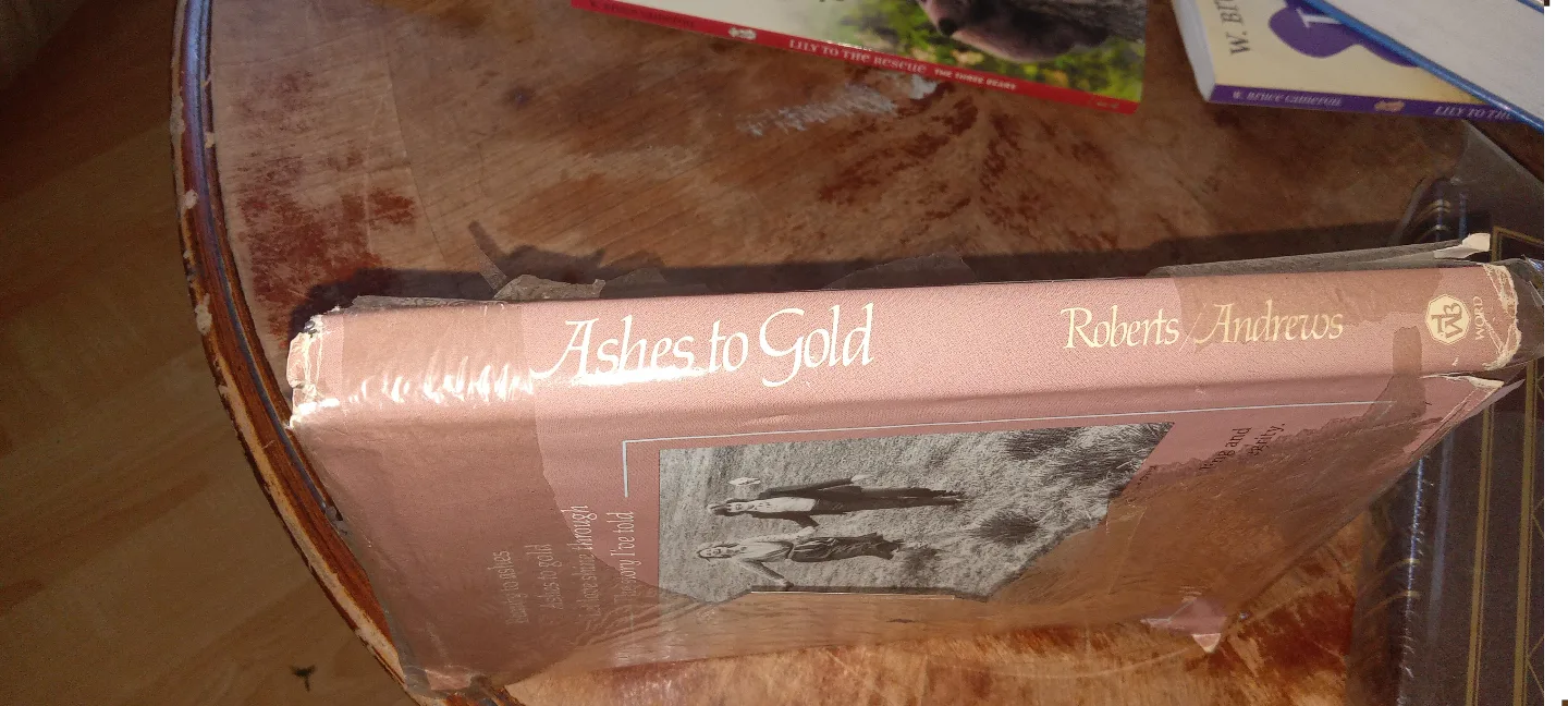 Ashes to Gold: Patti Roberts' Autobiography image indicator(3)