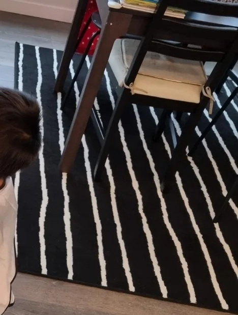 Black and White Striped Rug(2 set) thumbnail