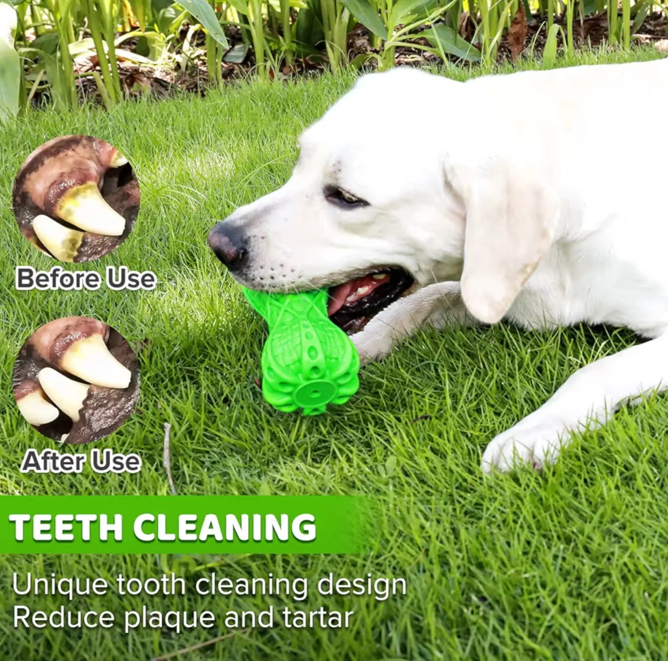 Durable Green Dog Chew Toy for Medium and Large Breeds image indicator(4)