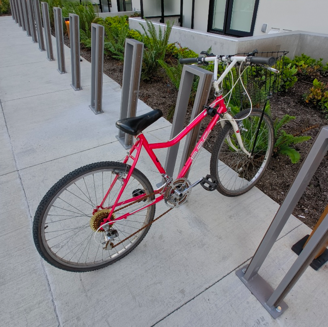 Women's Red Mountain Bike - photo 4