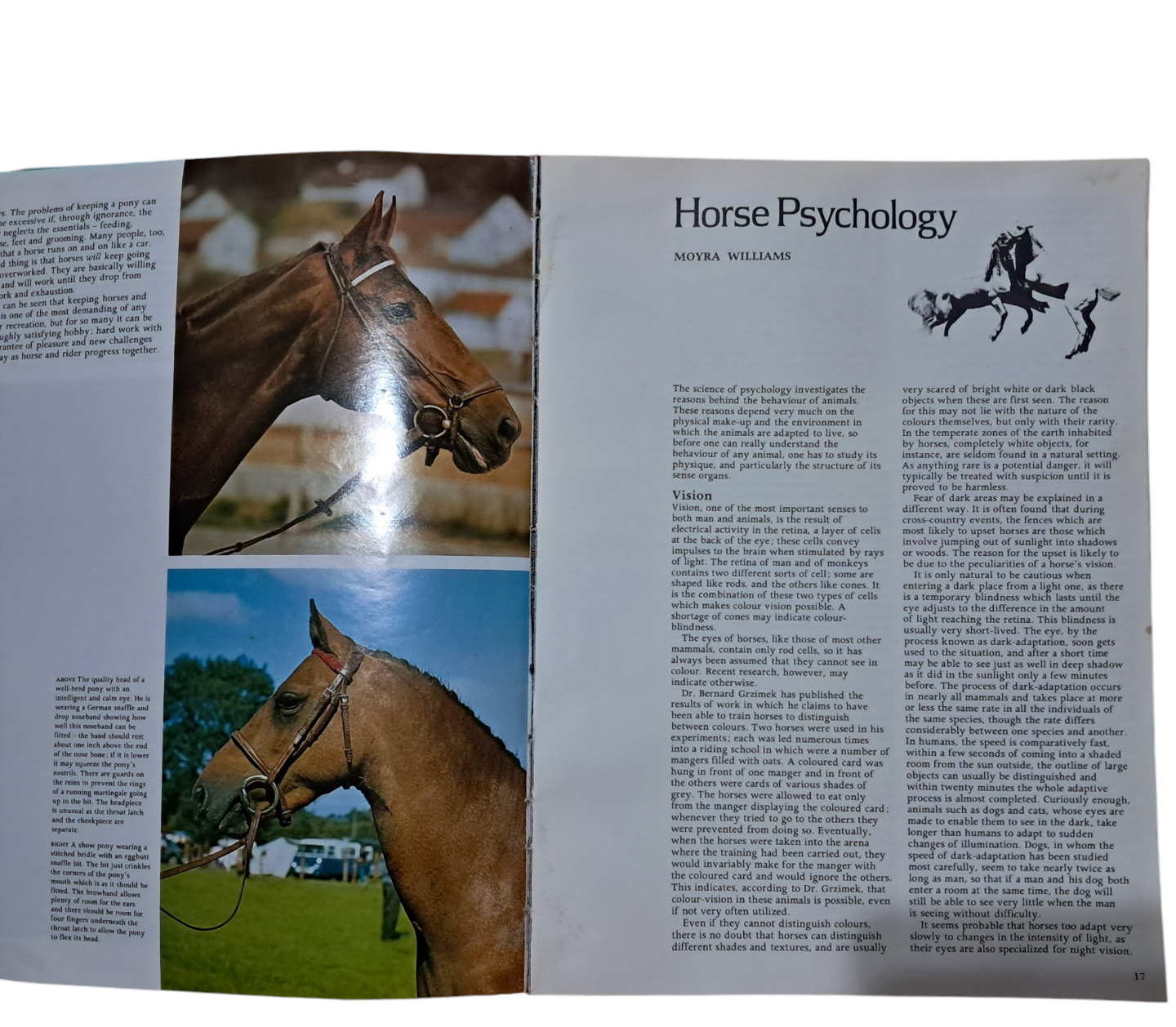 World Encyclopedia of Horses - photo 2