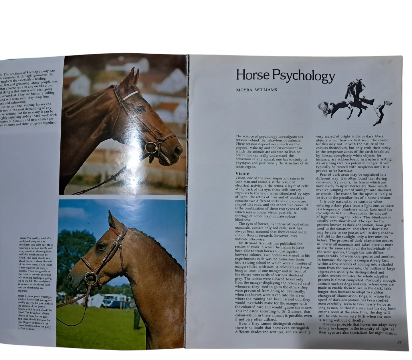 World Encyclopedia of Horses image indicator(2)