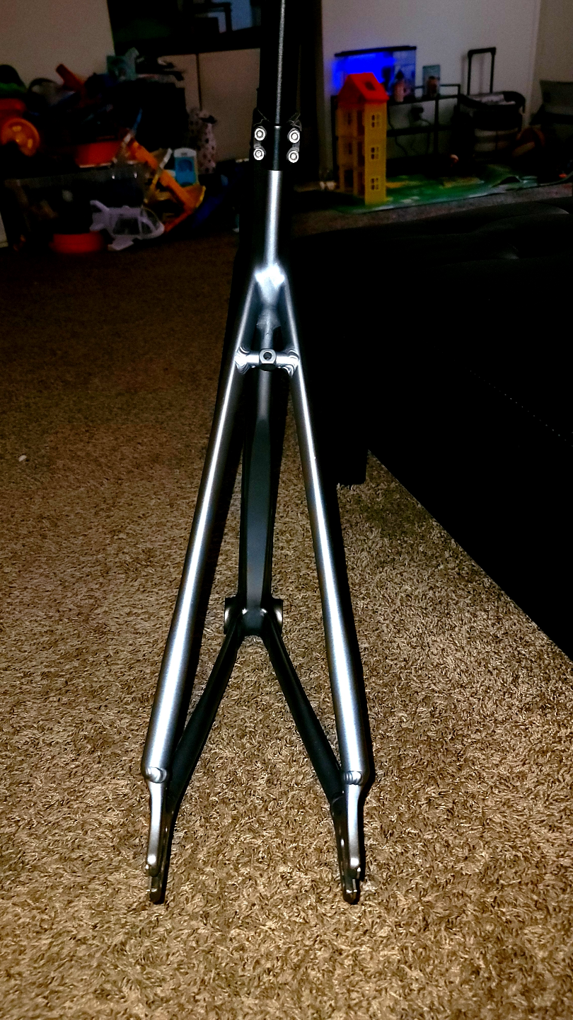 17Teeth Evo Track Frameset 2018 - photo 3