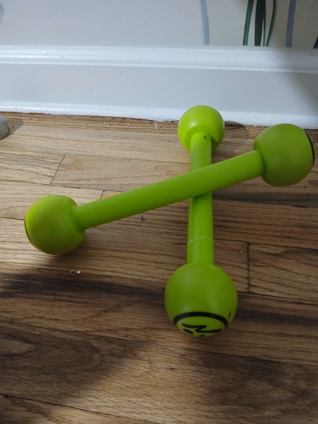 #freecycle Zumba Fitness Toning Sticks