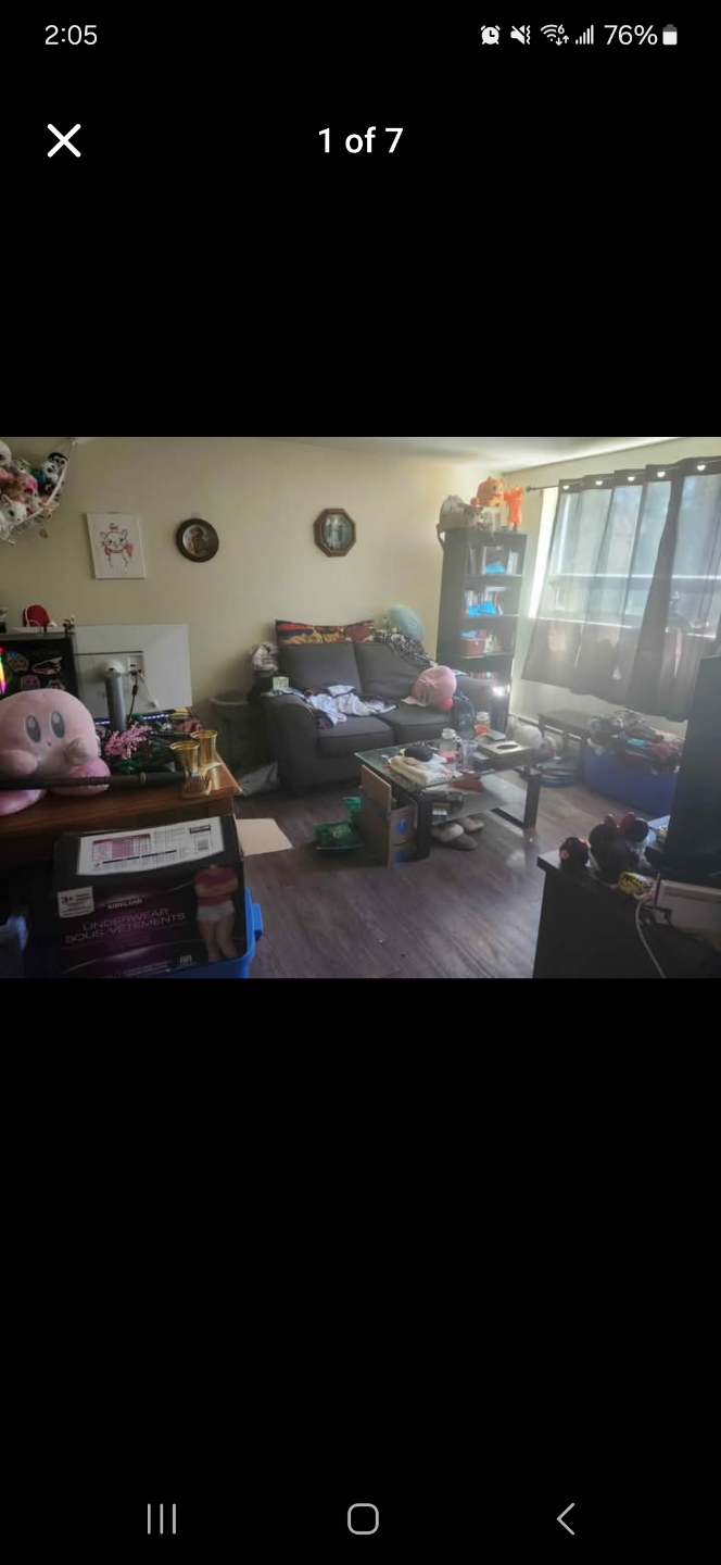 1 bedroom apartment