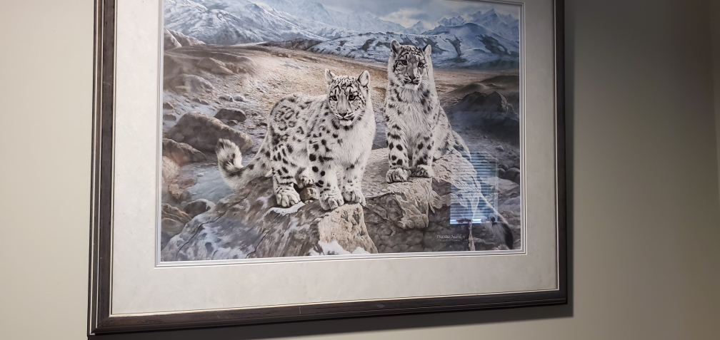 Framed Charles Fracé Snow Leopard Print