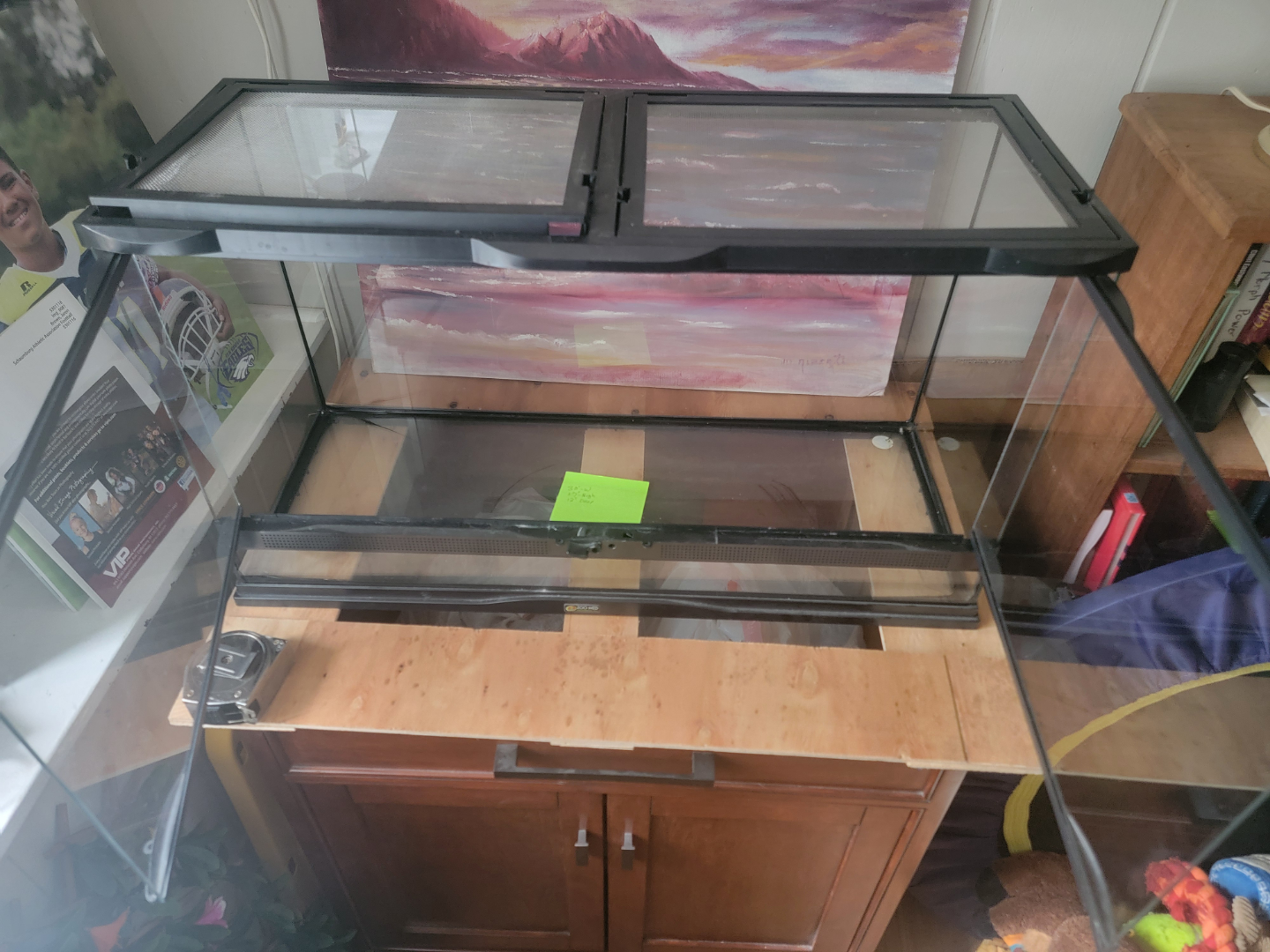 Terrarium - photo 2