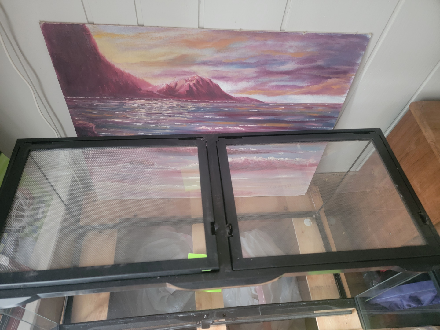 Terrarium - photo 3