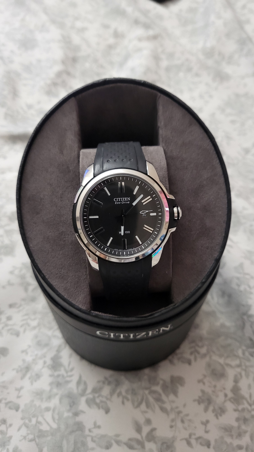 Citizen Eco-Drive Men's Watch