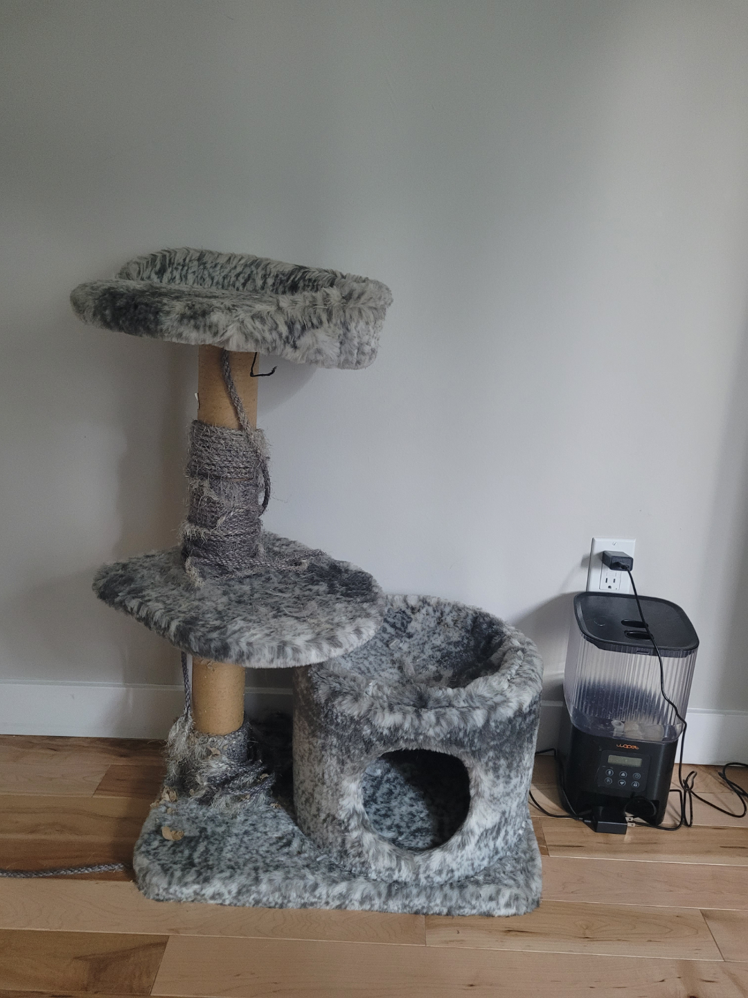 Used Cat Tree Condo