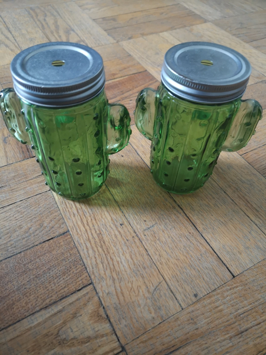 Cactus Shaped Glass Jars with Lids