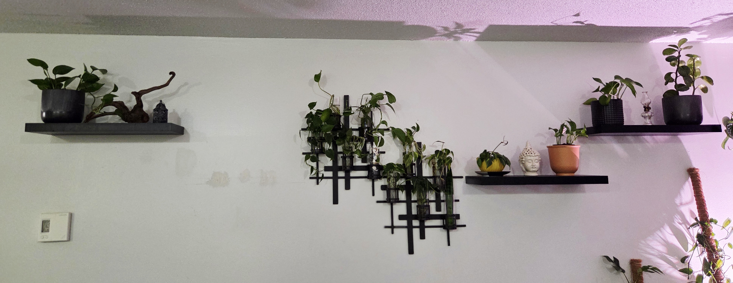 Set of Three Black Floating Shelves