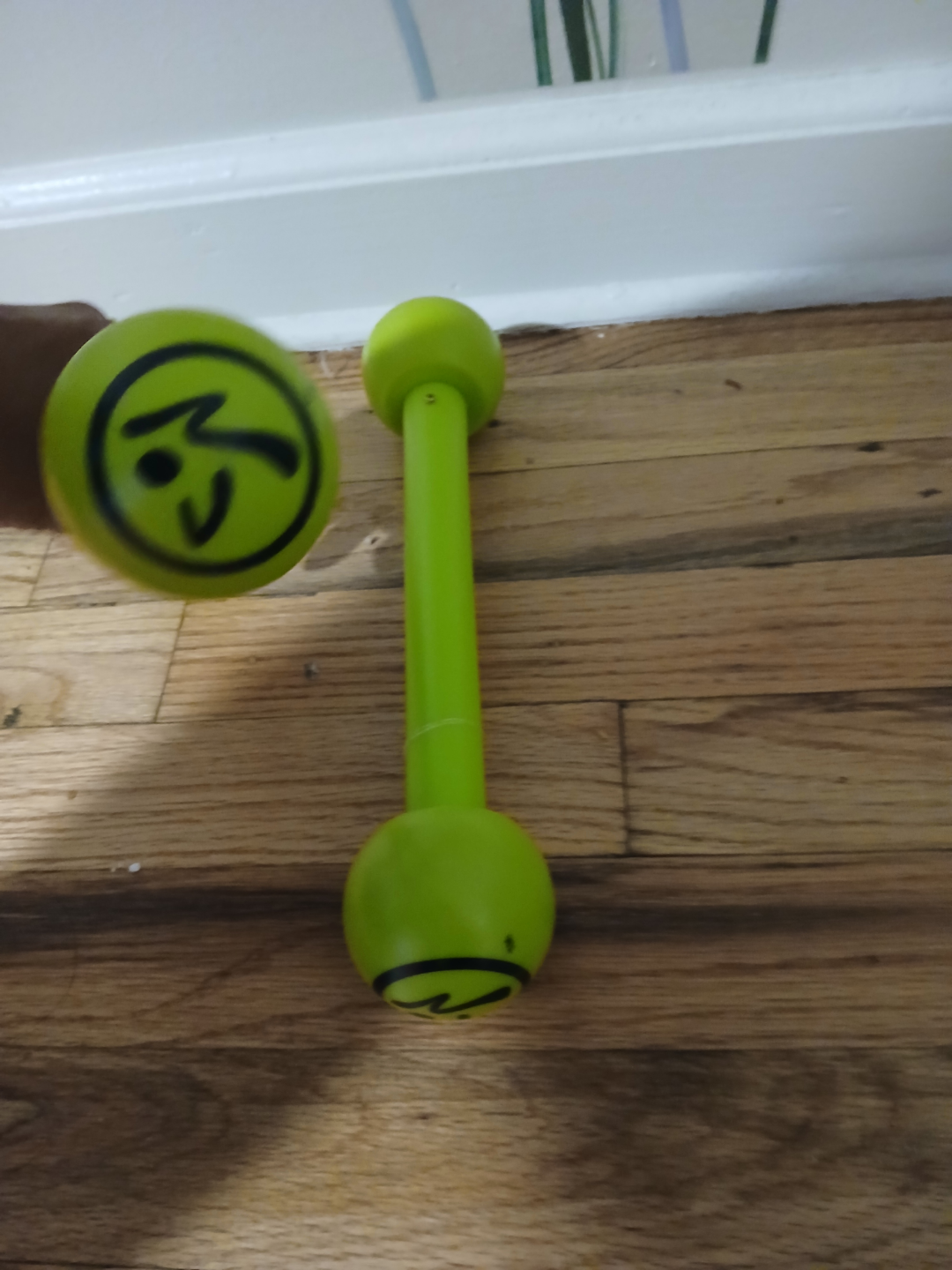 #freecycle Zumba Fitness Toning Sticks - photo 2