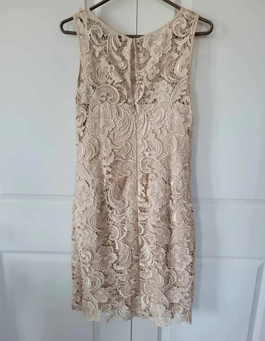 Adrianna Papell Beige Lace Dress Size 10 thumbnail