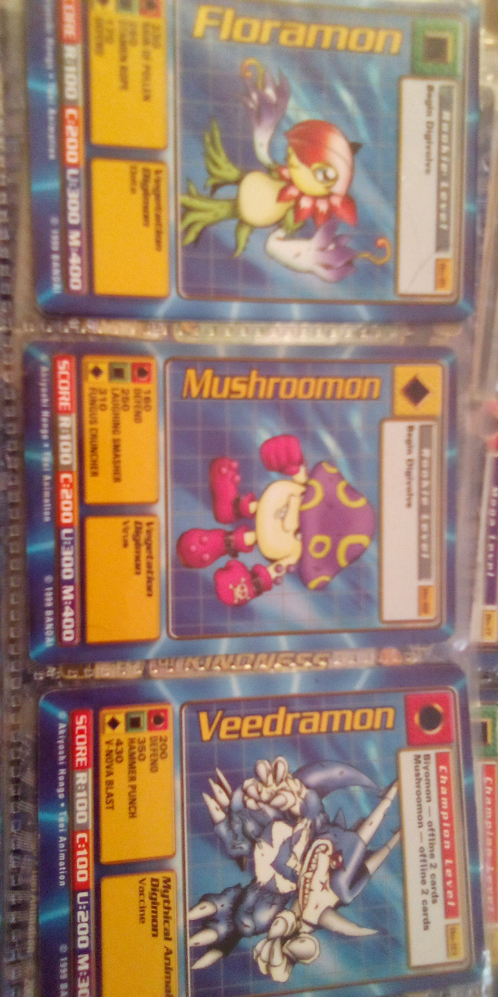 Digimon Card Collection - Multiple Digimon Cards - photo 3