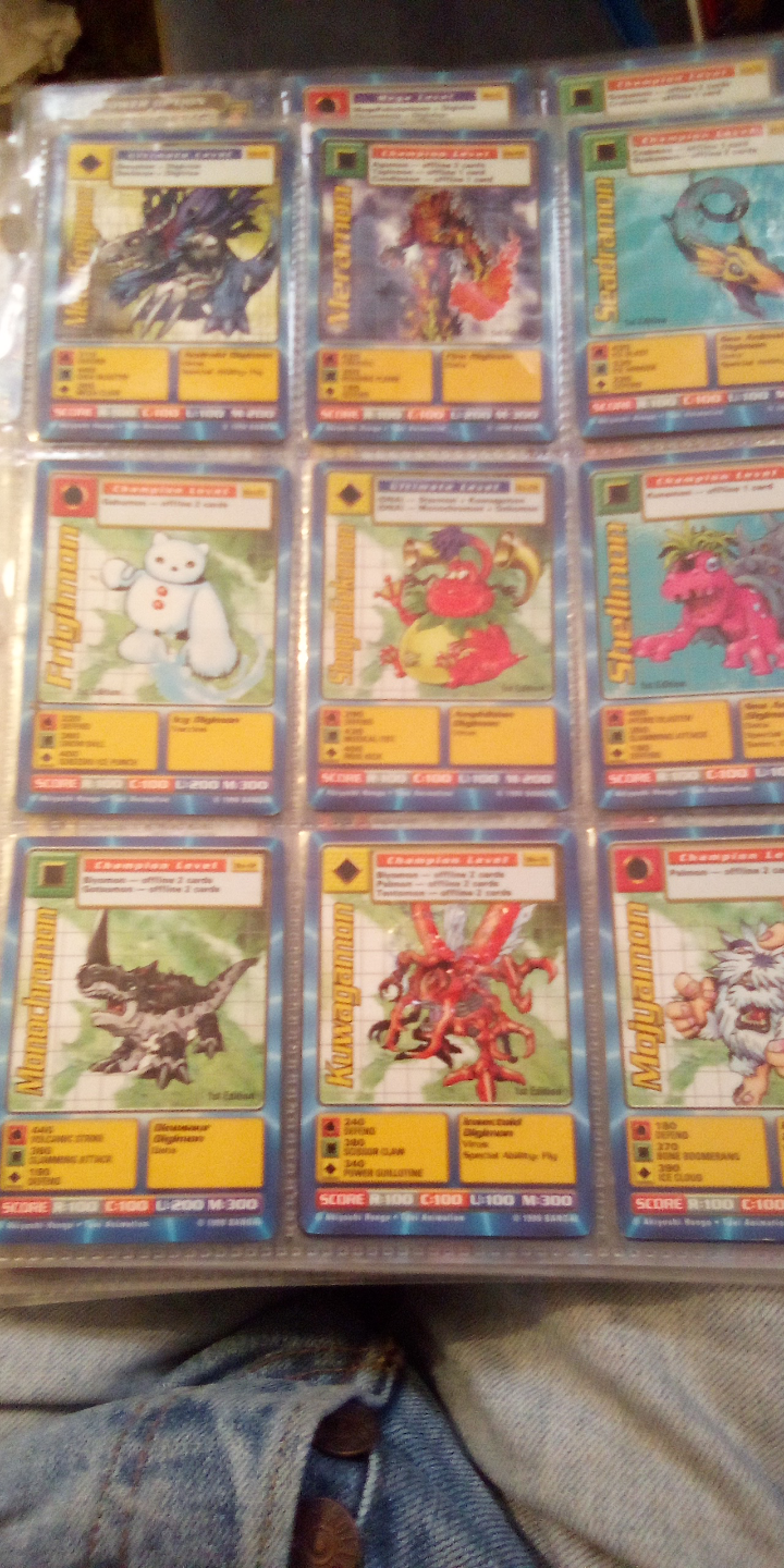 Digimon Card Collection - Multiple Digimon Cards - photo 5