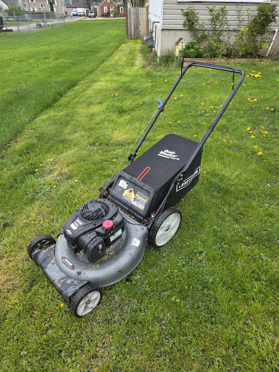 Gas Powered Push Lawn Mower
