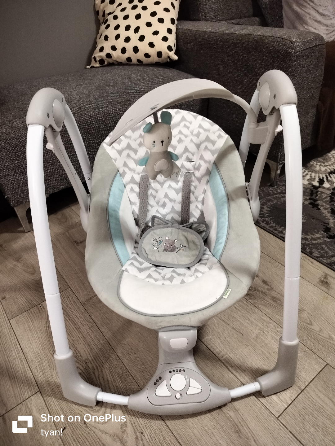 Ingenuity Baby Swing - photo 2
