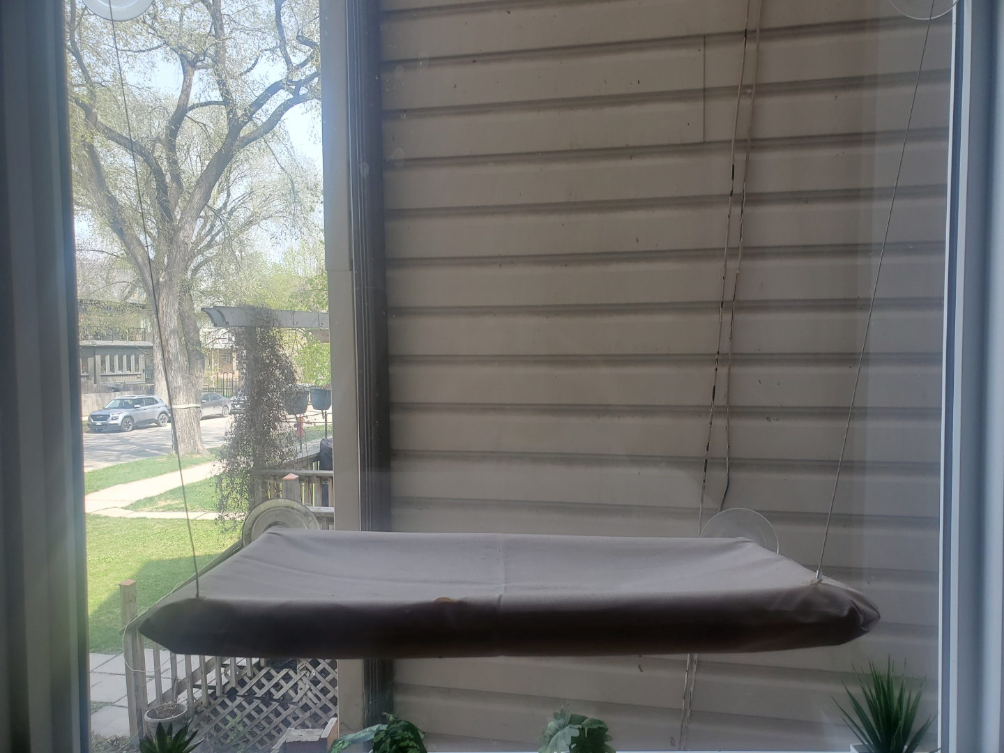 Cat Window Bed Perch - photo 2