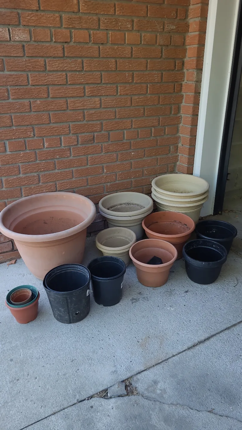 Assorted Plastic Planters thumbnail