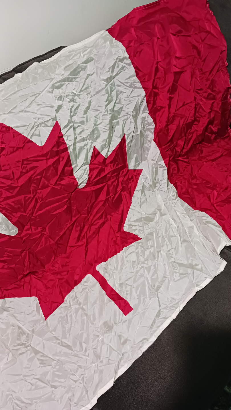 Canadian and Alberta Flags - photo 3