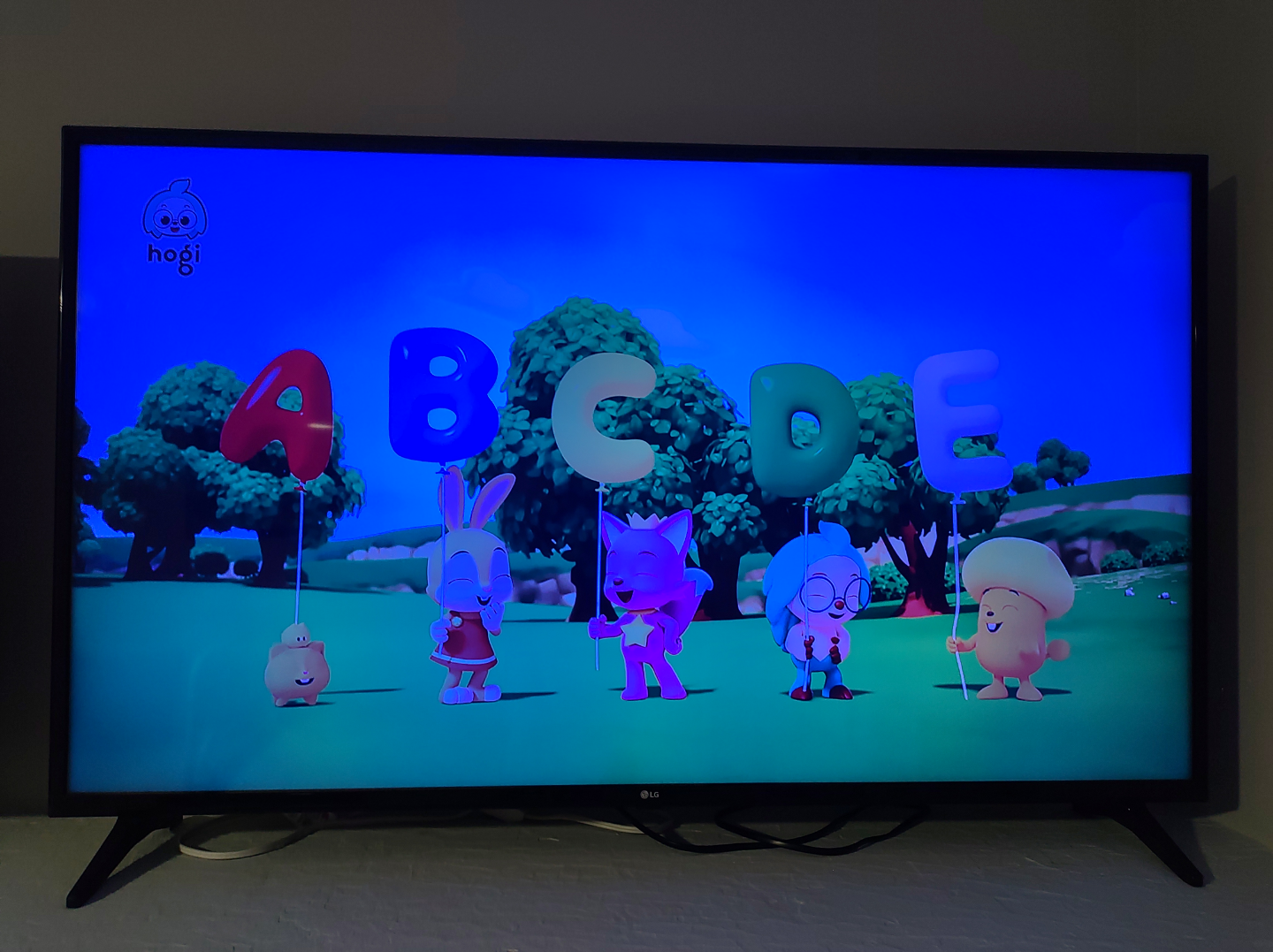 LG 55" Smart TV