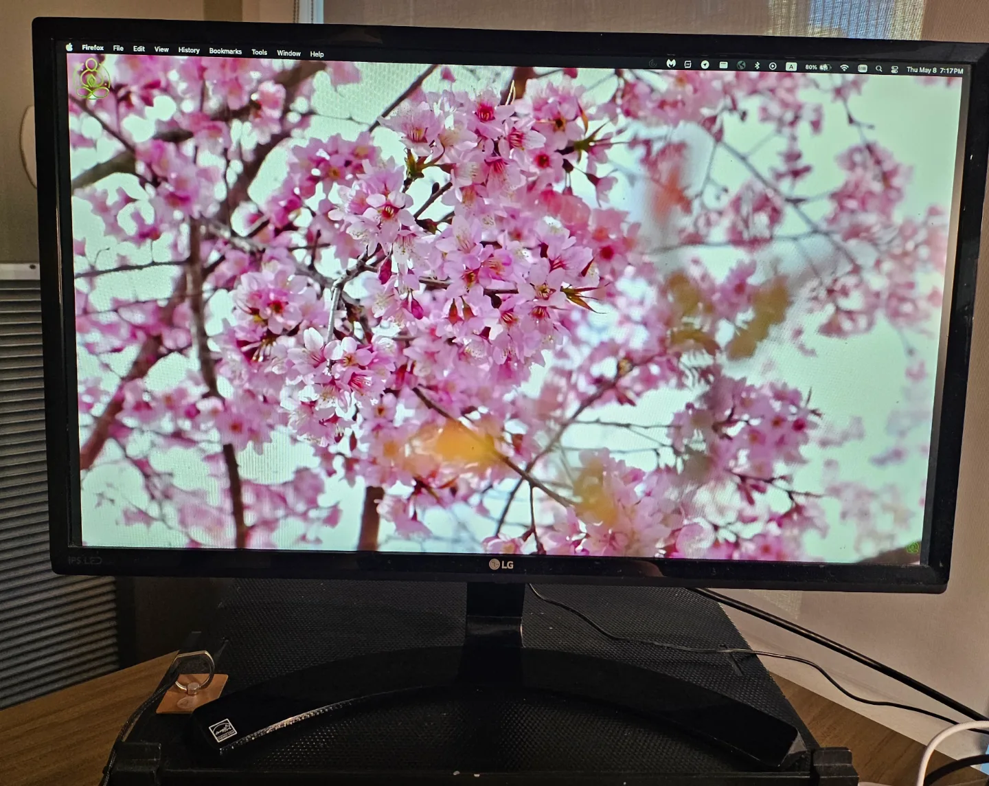 LG 24" IPS Monitor thumbnail