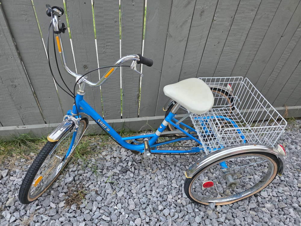 Vintage Adult Tricycle with Basket