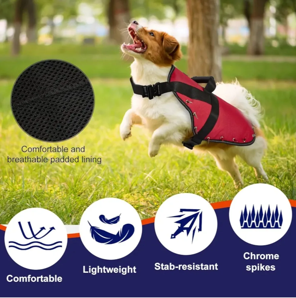 Red Dog Harness with Spikes - Size XSS image indicator(6)
