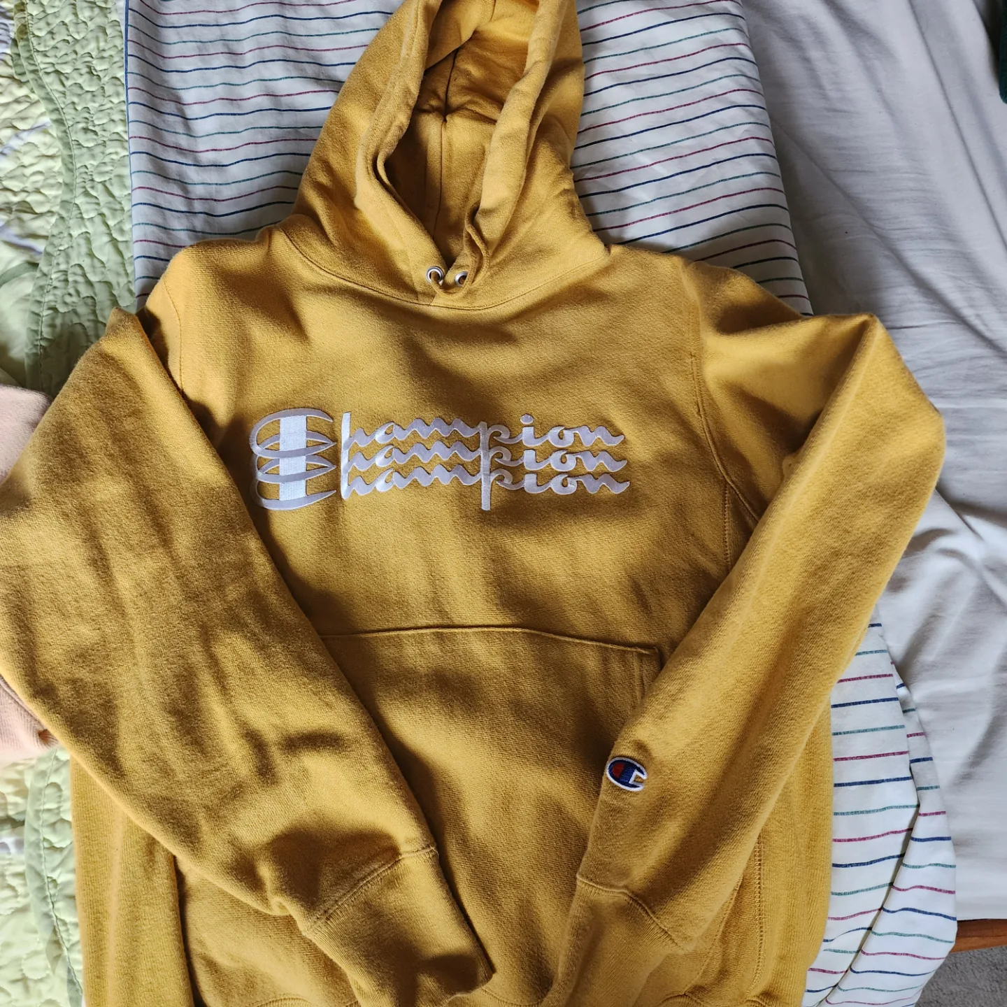 Three Champion Hoodies - Size Small image indicator(5)