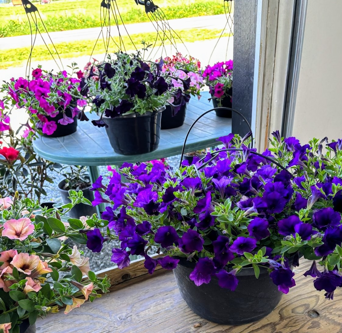 Flower baskets - photo 2