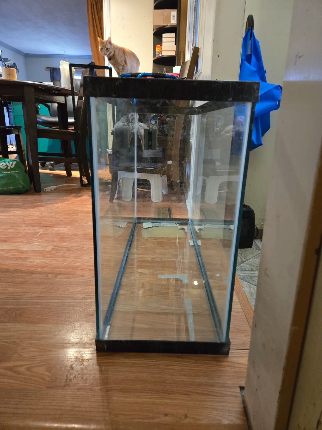 Large Terrarium (NOT AQUARIUM) $80 image indicator(4)