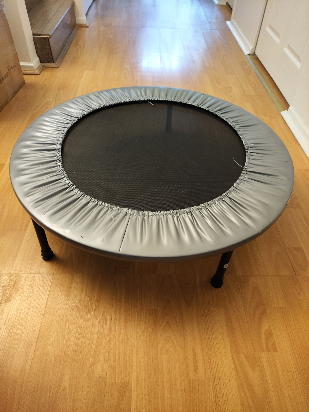 Mini Exercise Trampoline