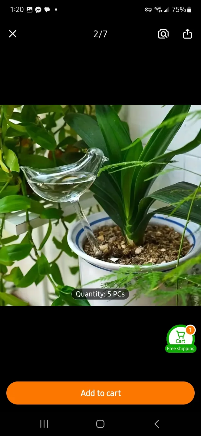 NEW 3x Self-Watering Bird Shaped Plant Waterers 💧 image indicator(6)