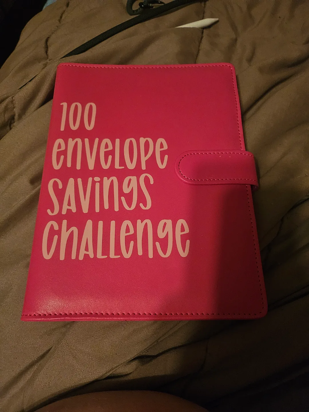 100 Envelope Savings Challenge Binder thumbnail