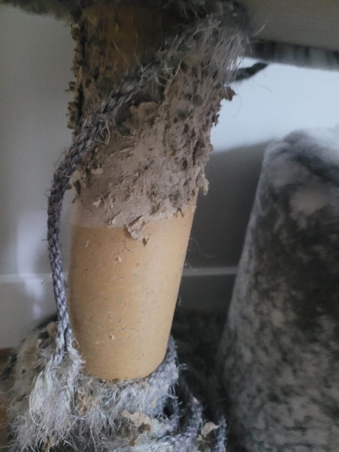 Used Cat Tree Condo - photo 4