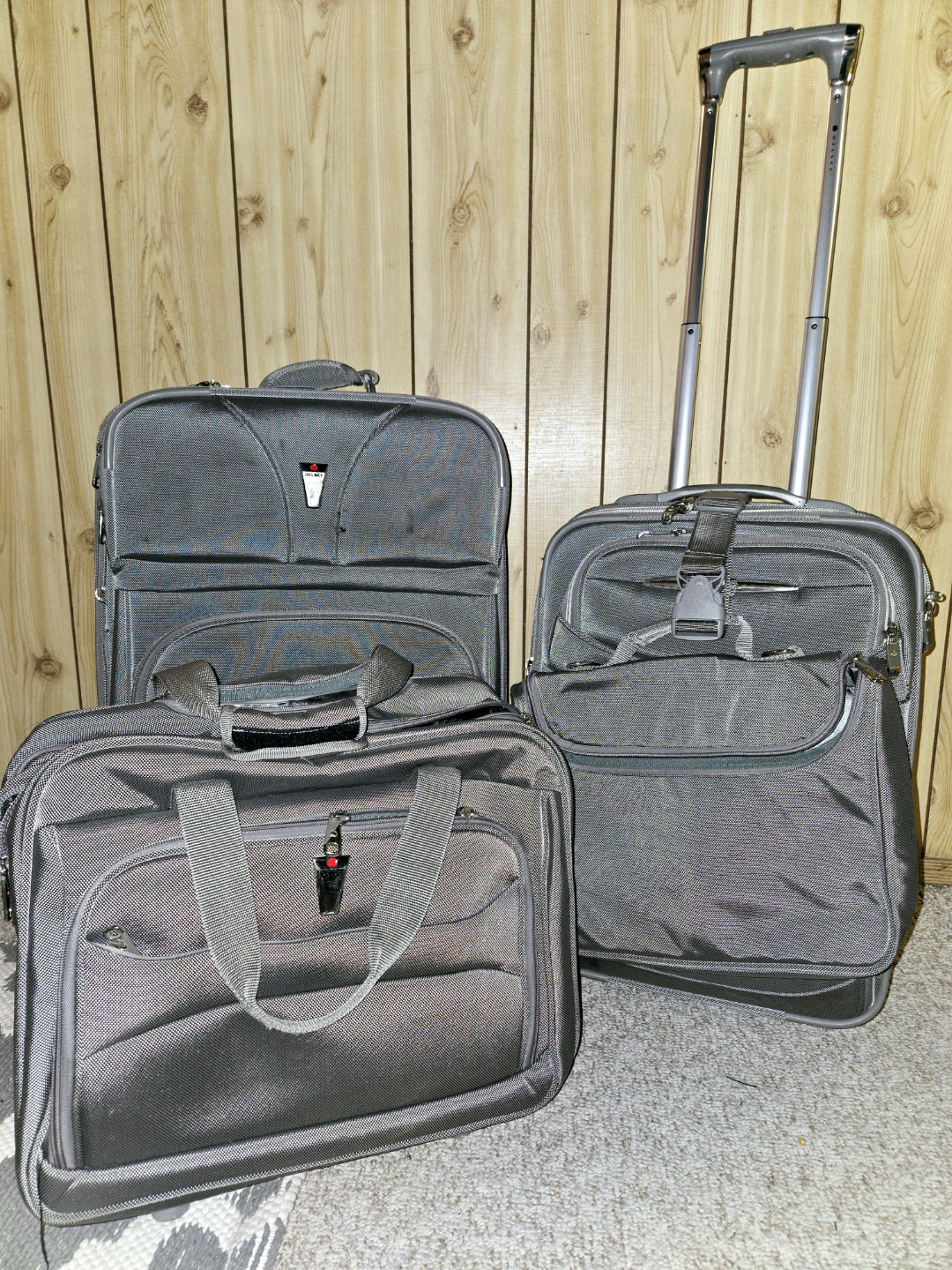 Delsey Luggage Set - Silver